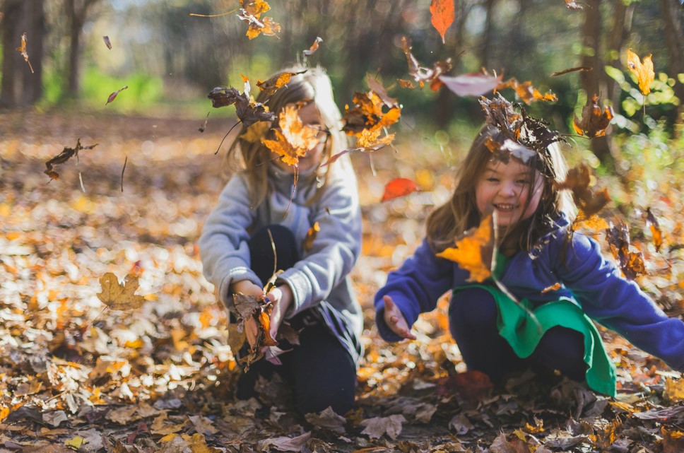 14 Fun Fall Activities for Kids